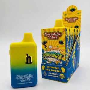 Authentic Nostalgic Vibes 2Gram Disposables